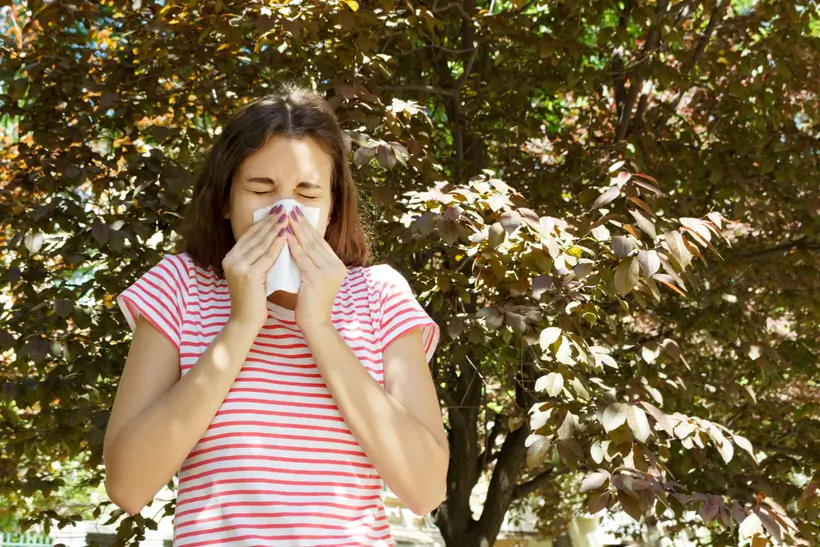Pollen and its effect on seasonal allergy commercial planning