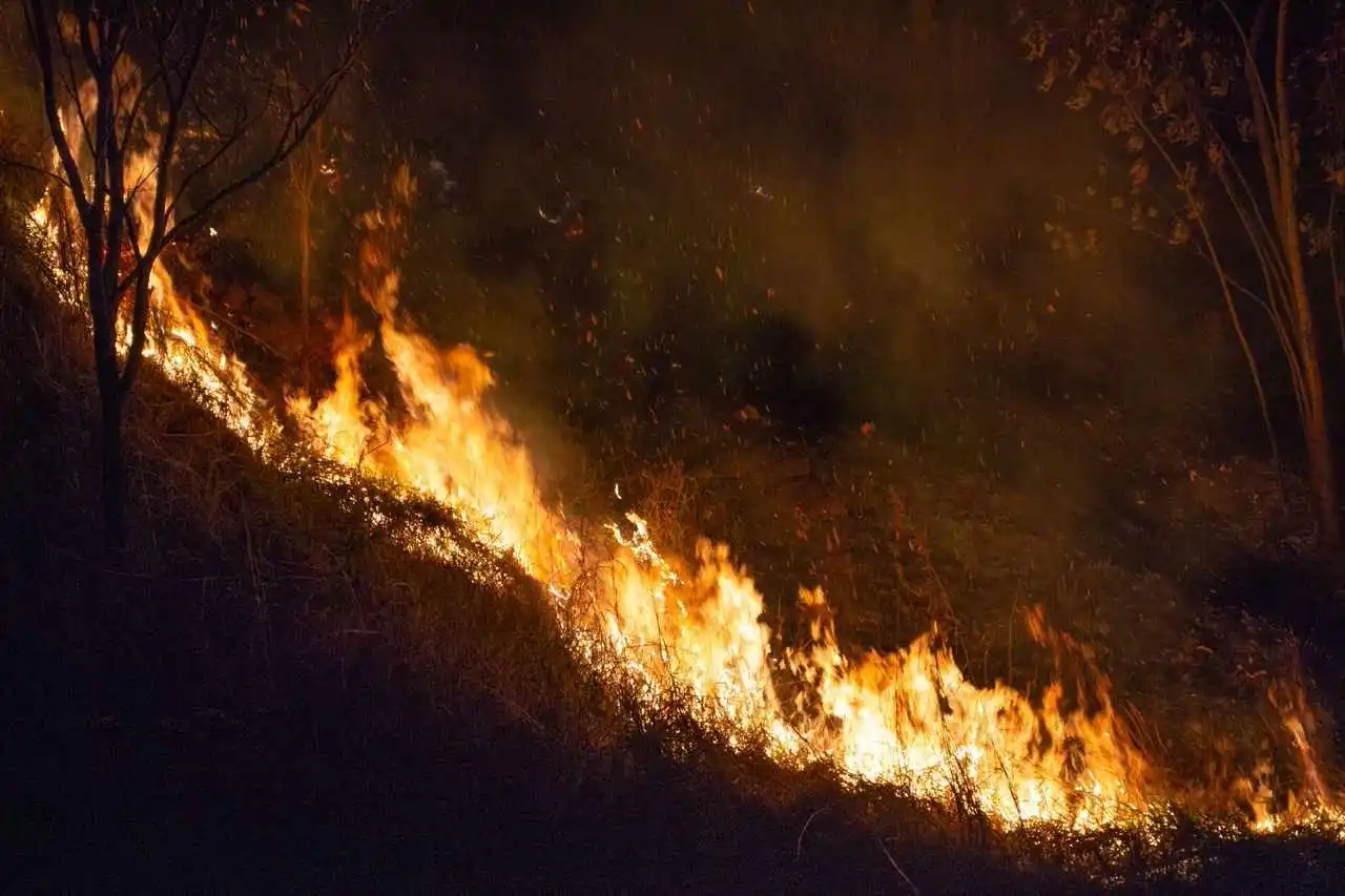 Ambee’s breakthrough in wildfire risk forecast