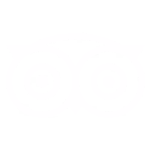 Tripadvisor owl logo with large circular eyes and pointed ears in white on a transparent background.