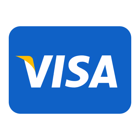 Visa logo with white text on a blue background and a yellow accent on the V.