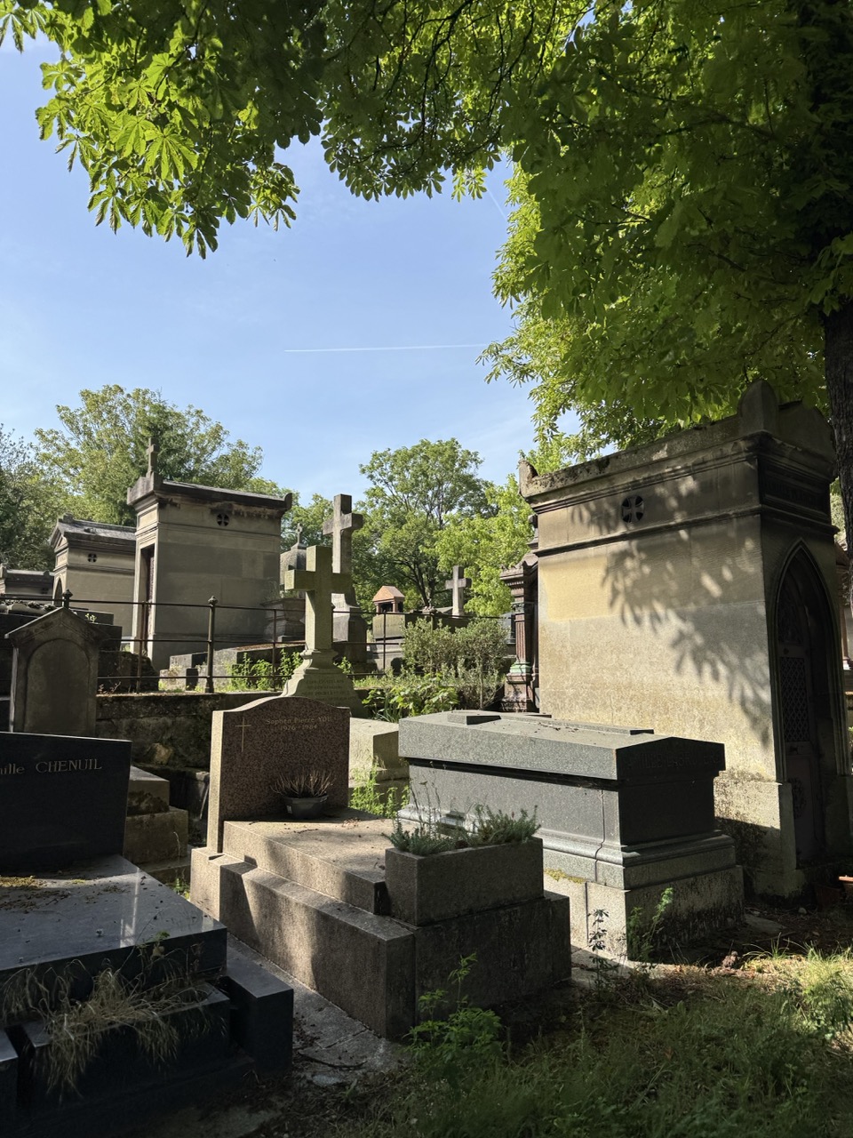 Escena del cementerio con varias tumbas y mausoleos de piedra antiguos bajo un frondoso dosel de árboles y un cielo azul despejado.
