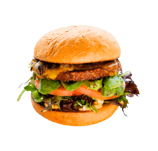vegetarian burgers, veggie patties