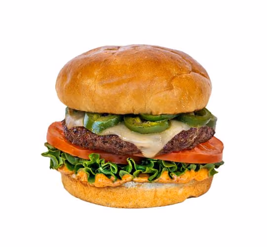 meatless veggie burger, veggie burger patty