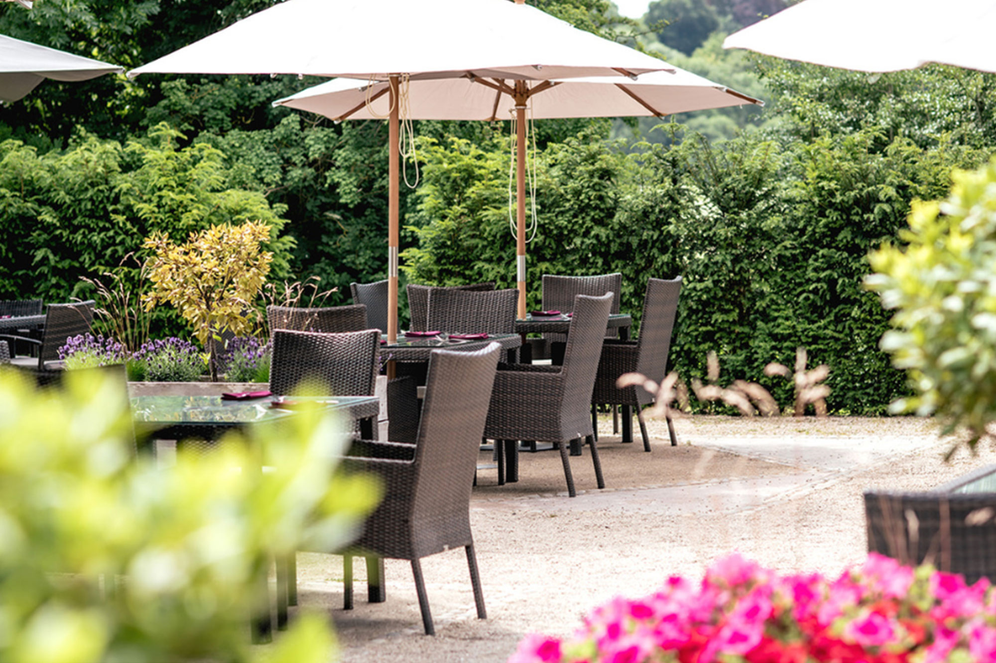 Visit Squerryes Estate in Summer