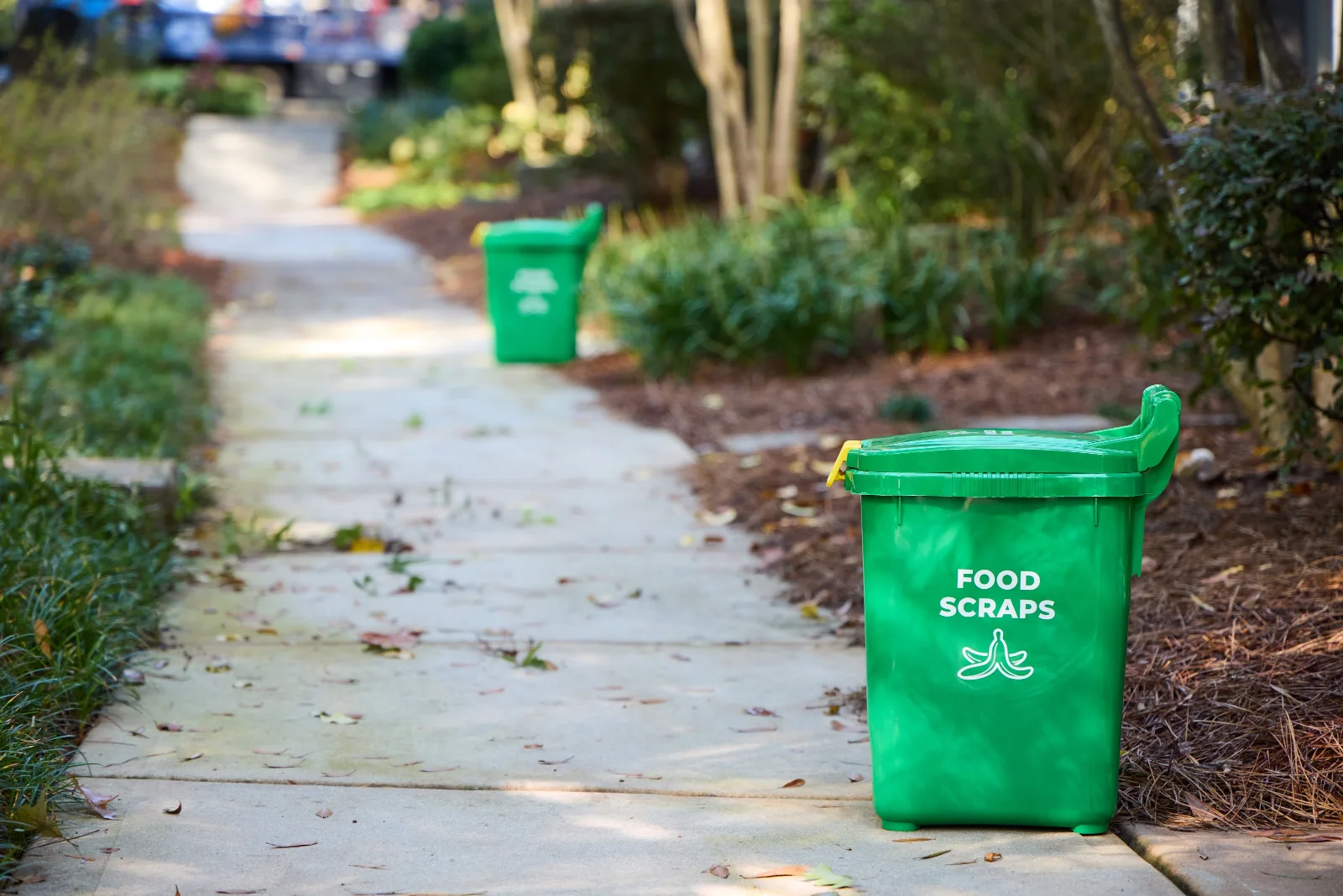 Green CompostNow food scraps bins set out along a tree-lined residential sidewalk on collection day