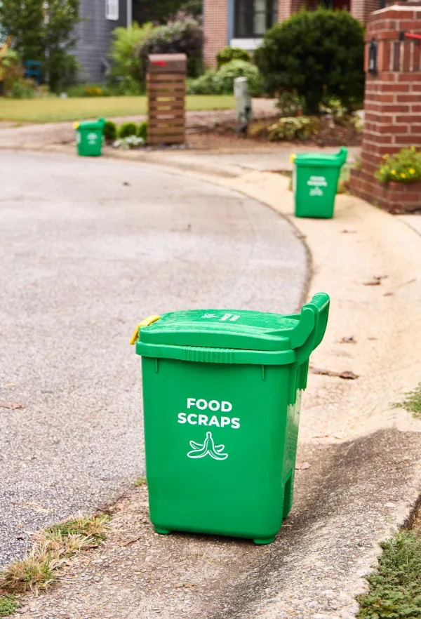 Green food scraps bins set out at the curb in front of neighboring homes along a residential street