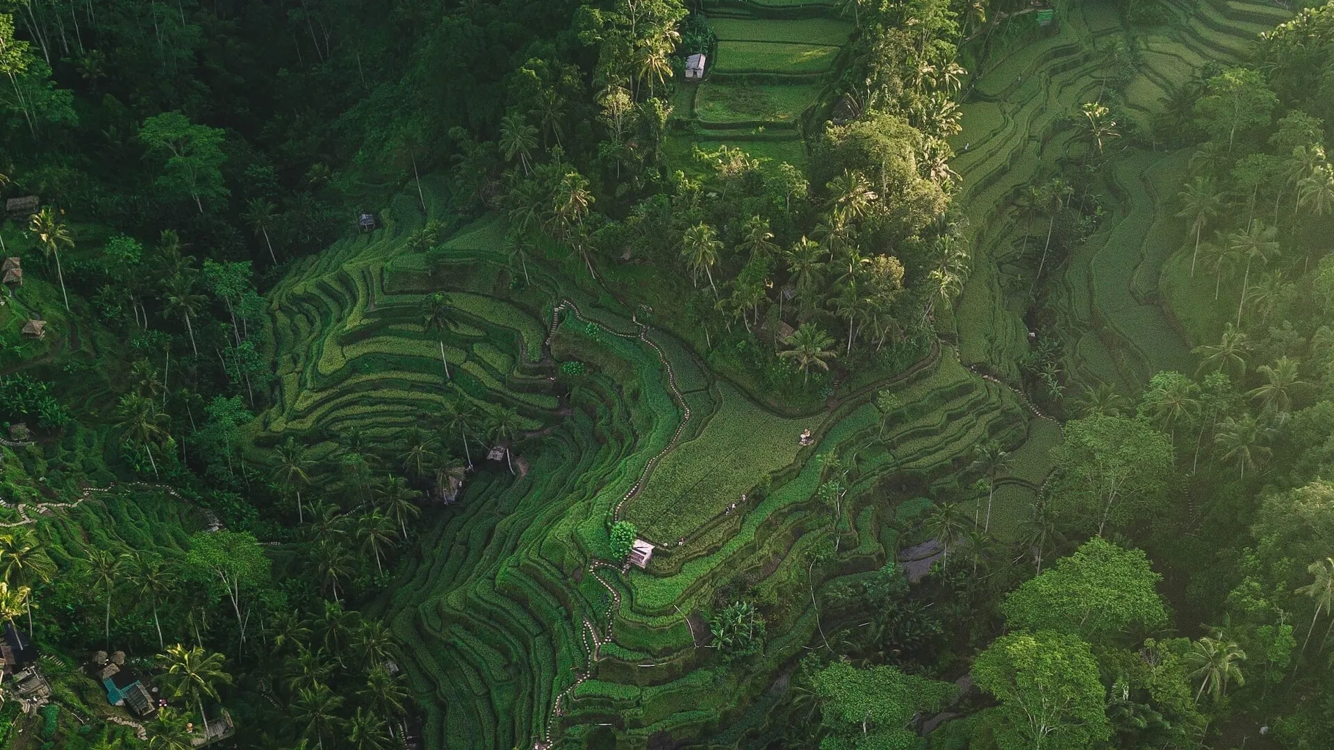 Landscapes & Jurisdictions