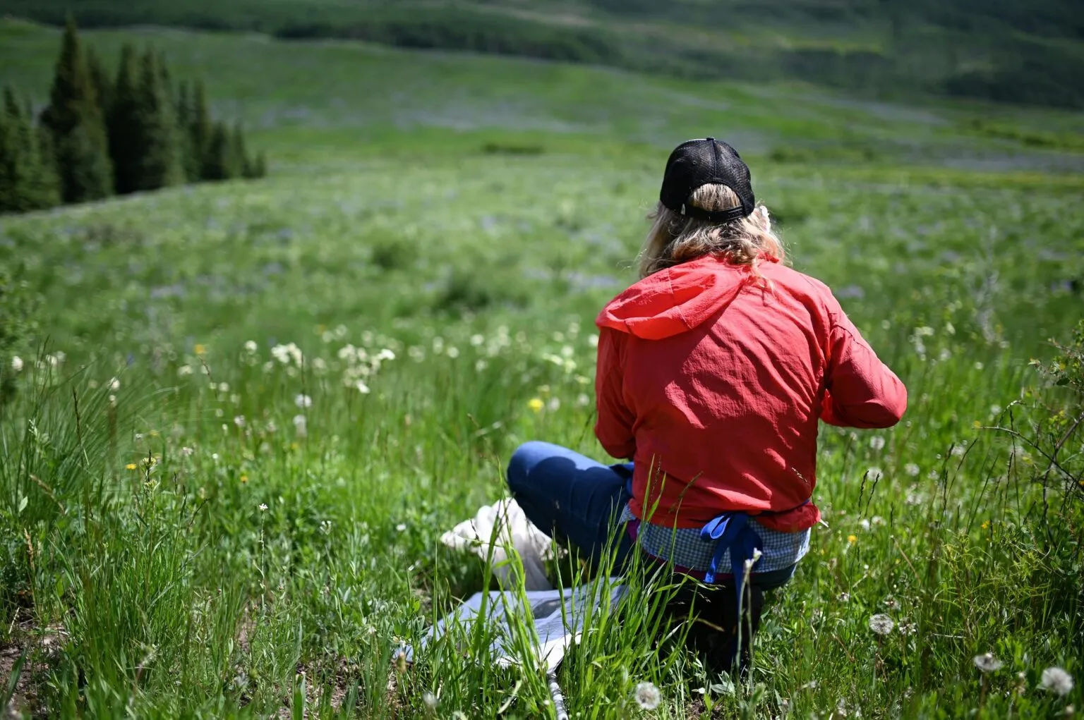 With the adoption of the HCV Approach beyond sustainable forestry came the need for operational guidance. The first ‘HCV Toolkit’ was published by Proforest with support from the WWF-IKEA partnership.