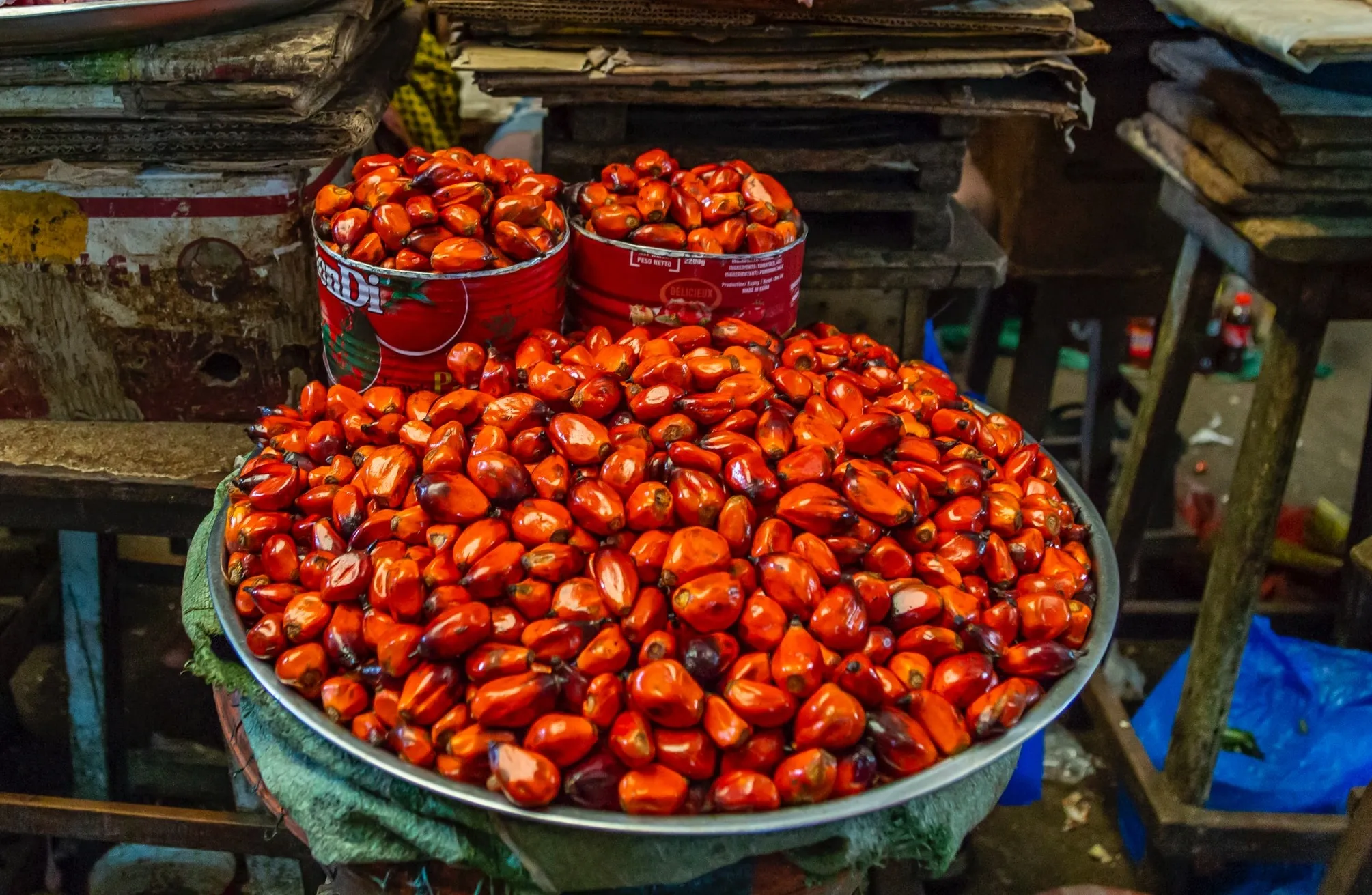 The Roundtable on Sustainable Palm Oil (RSPO) was established and required the protection of High Conservation Values in its Principles and Criteria.