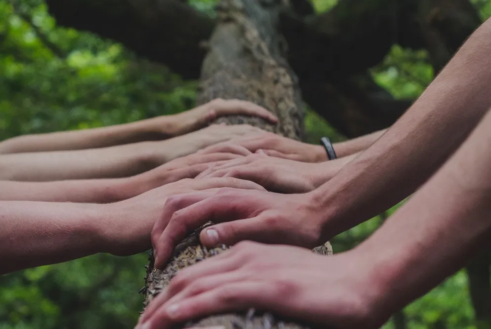 The Network was founded by Forest Peoples Programme, the Forest Stewardship Council, Greenpeace, IUCN, Mondi, the Nature Conservancy, Proforest, Tetra Pak, the World Bank, WBCSD, and WWF. A Steering Group of 17 organizations governed the Network until 2014.