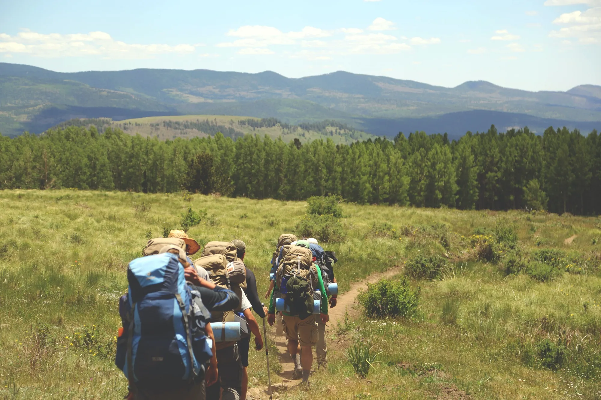 Good Practice guidelines for High Conservation Value assessments were published for the first time.