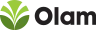 Olam