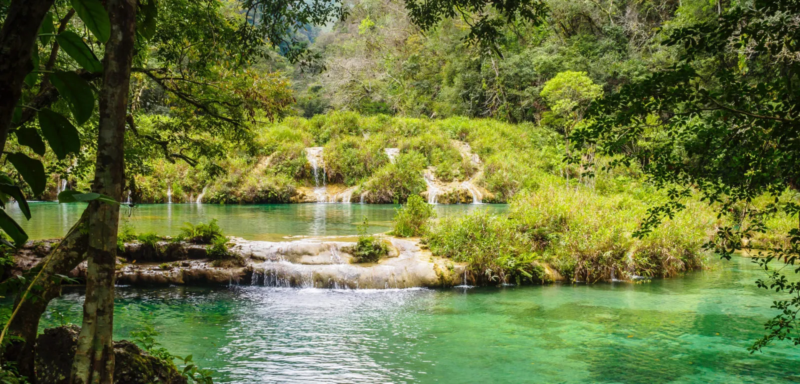 Protecting people and nature at a bigger scale: how HCV screening can help