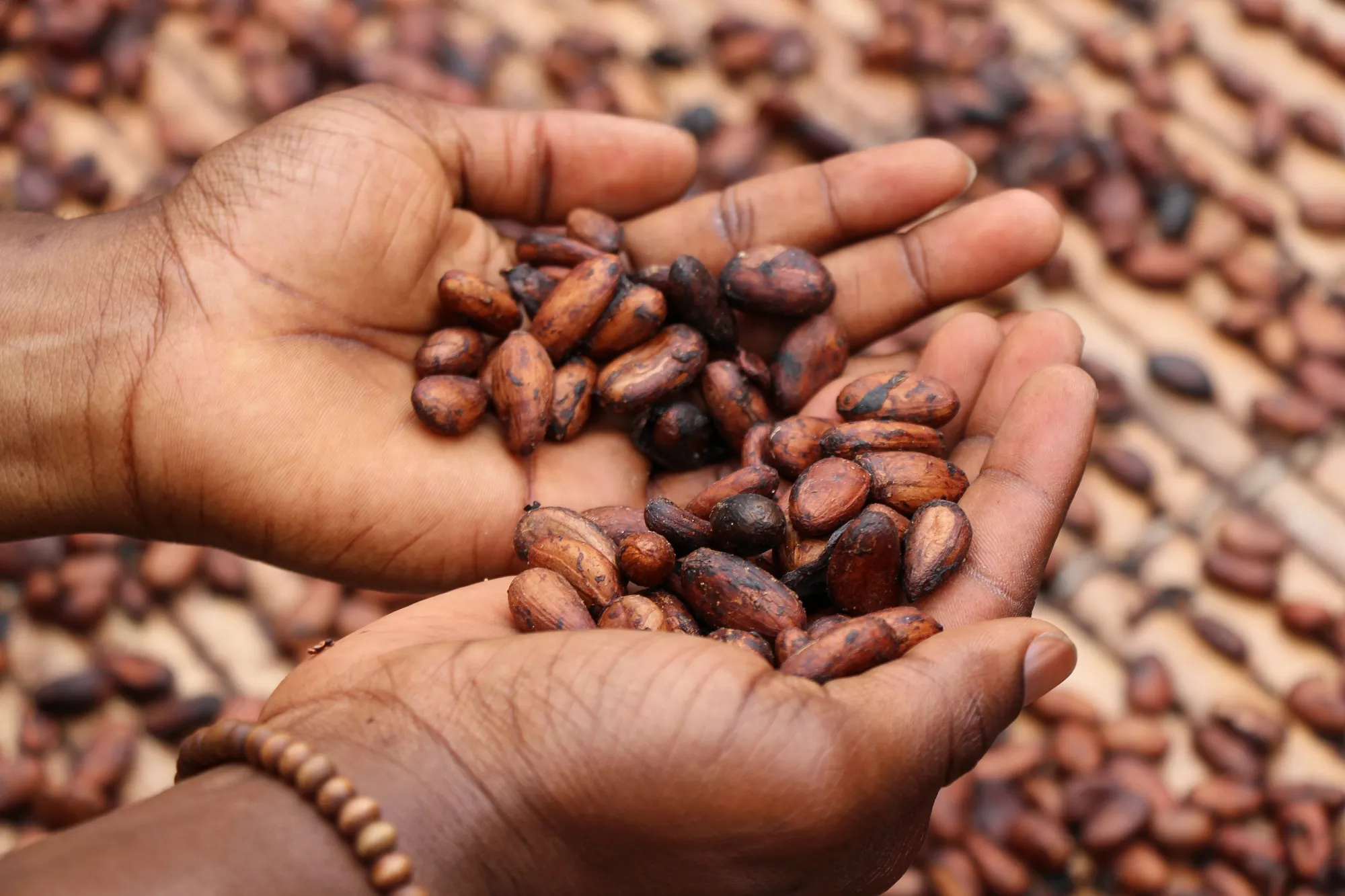 Nature Positive Farming: a win-win for smallholders and nature