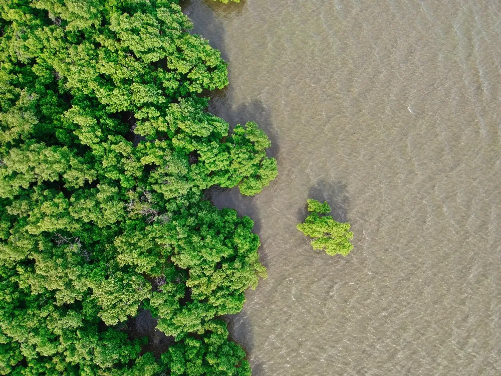 Beyond land: rethinking the HCV Approach for aquatic ecosystems