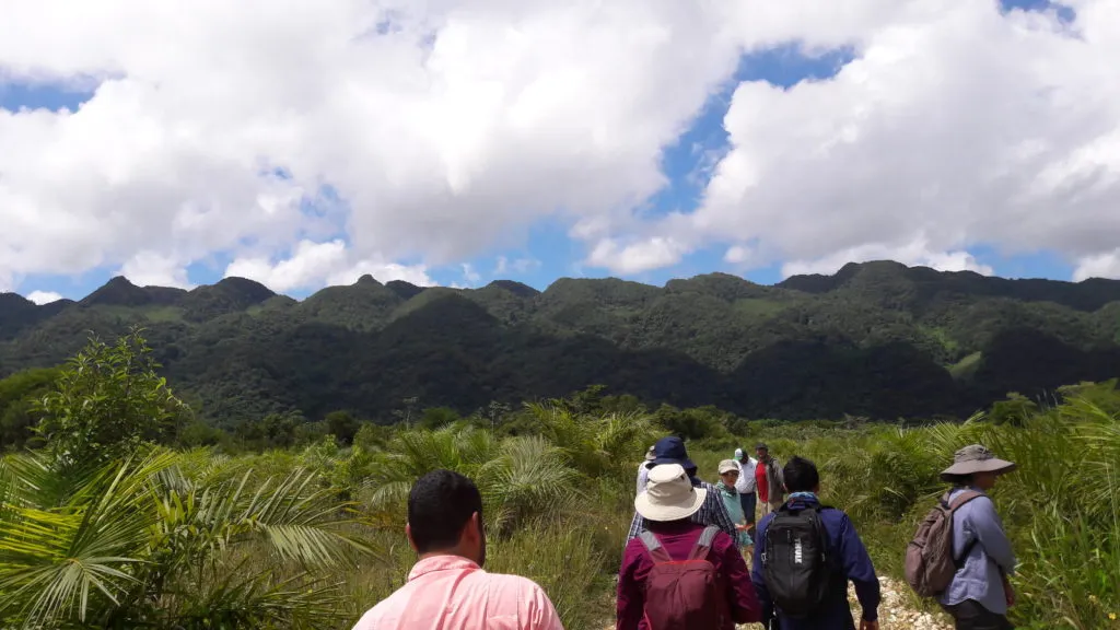 Study: HCV Management & Monitoring in RSPO-certified plantations