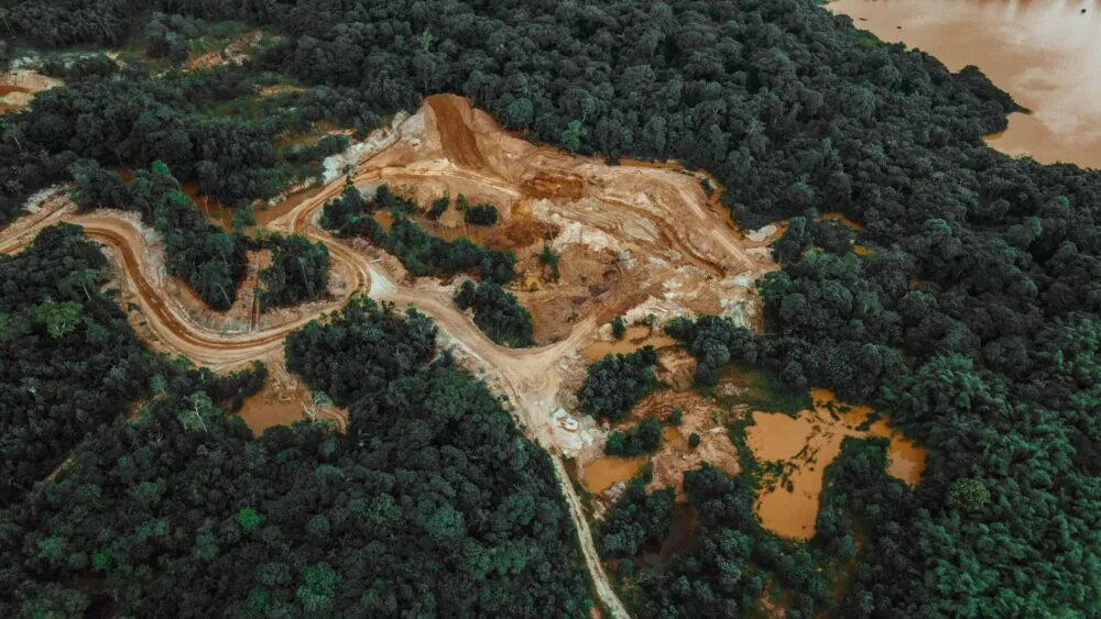 New EU rules for deforestation-free products: Great for forests, a double-edged sword for smallholders
