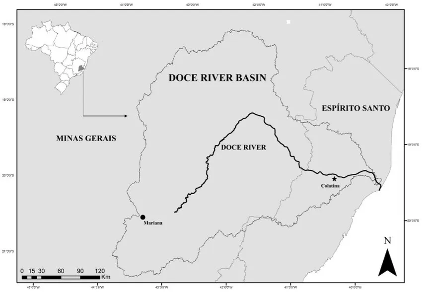 HCV Screening Case Study: Rio Doce Watershed (Brazil)