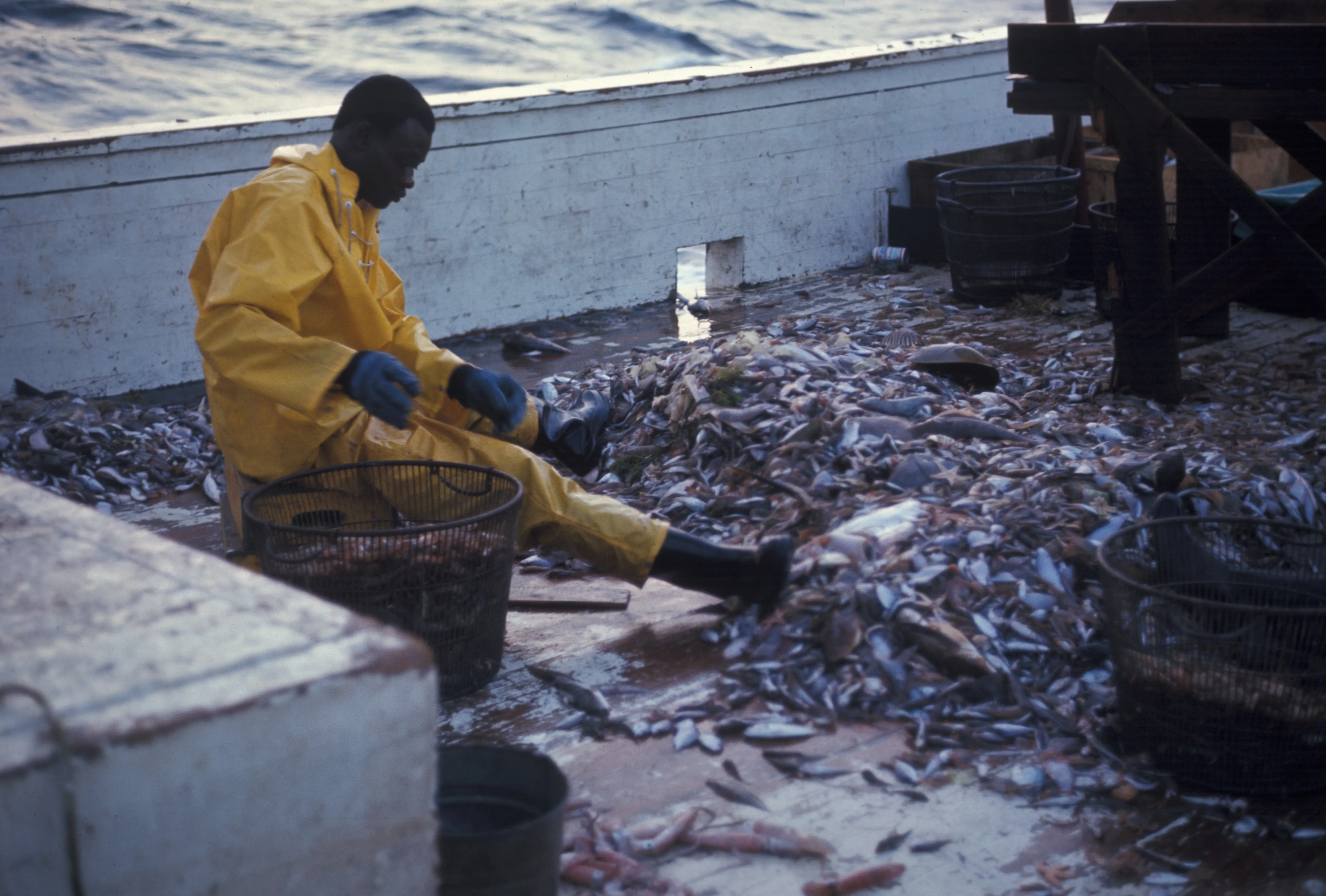 How the HCV Approach can help restore ocean health 
