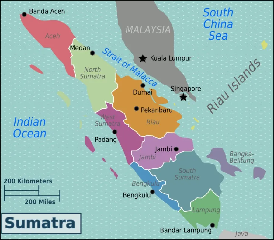 Large-scale mapping of HCVs and HCS forest for Sumatra Island, Indonesia – an input to the new Hamurni tool for supply chain mapping and traceability