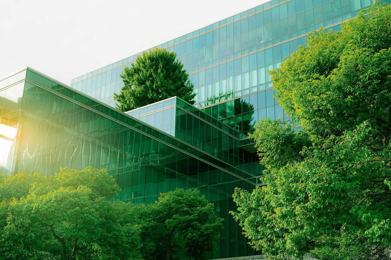 New Year, New Reporting Requirements: The ESRS