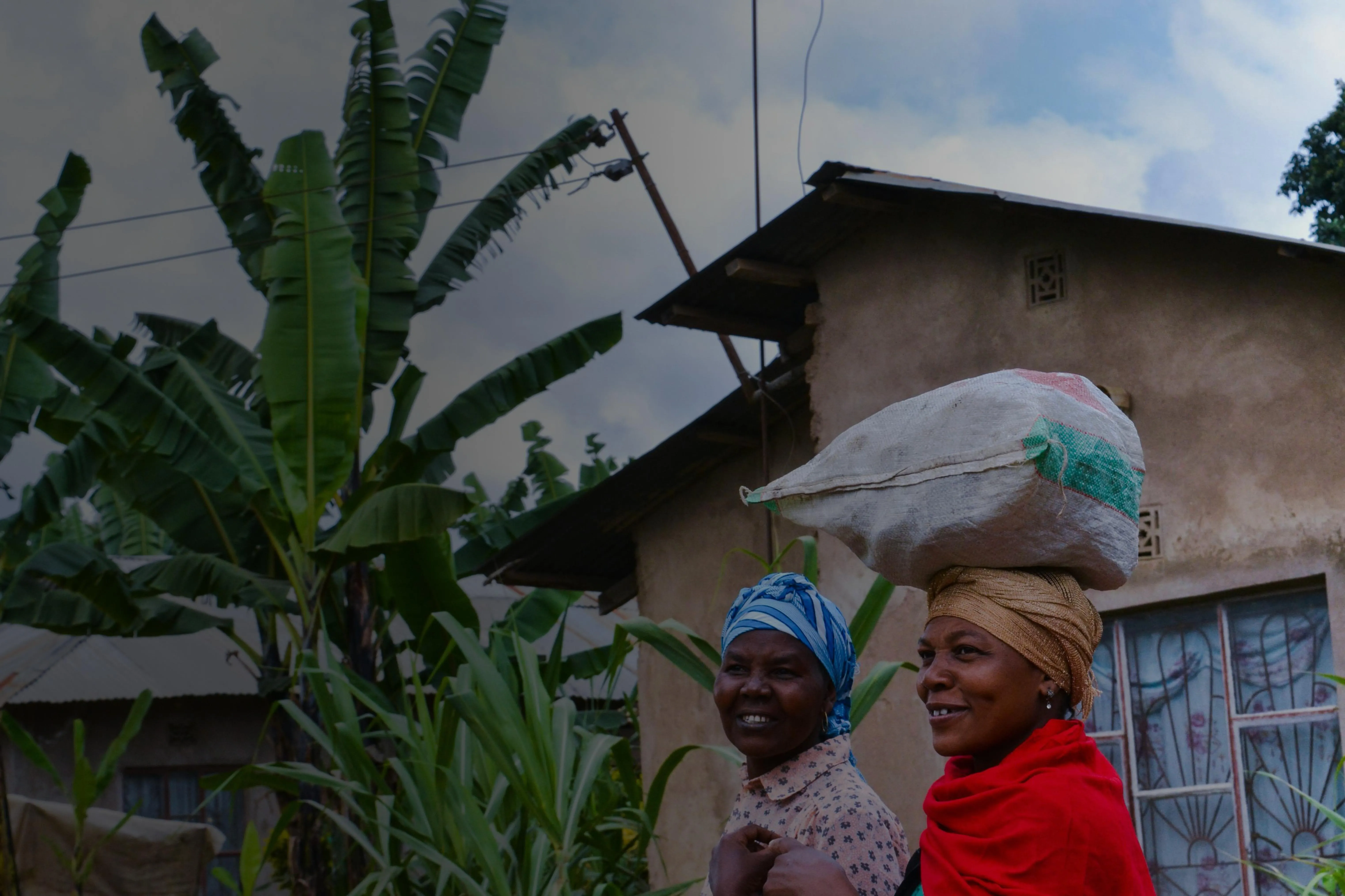 The Network developed a new 2030 strategic vision and a set of Principles to augment the HCV Approach. Expansion into new countries, including Cameroon, Guatemala and the Philippines. New members include SEARRP, Kaleka, GPSNR, Earthworm, Gaia and Wilderness Society (Australia). Updated the HCV-HCSA assessment manual. Engaged as an implementing partner with Republic of Congo’s spatial planning (CAFI). HCVN tools added to the TNFD Toolbox.