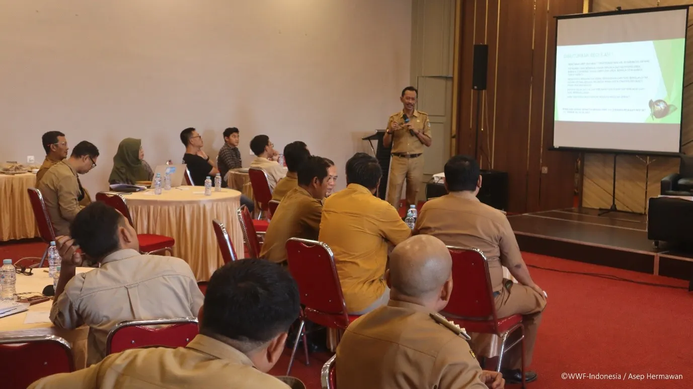 Head of Sintang Environmental Agency presented HCV-HCS study results in Sintang District