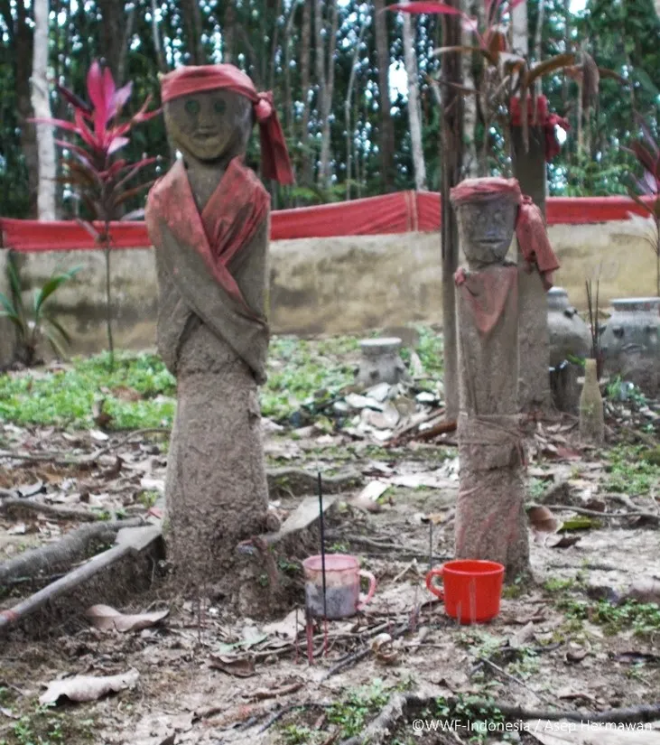 Sacred grave in Temiang Kapuas Village, Sepauk Sub-District, Sintang District