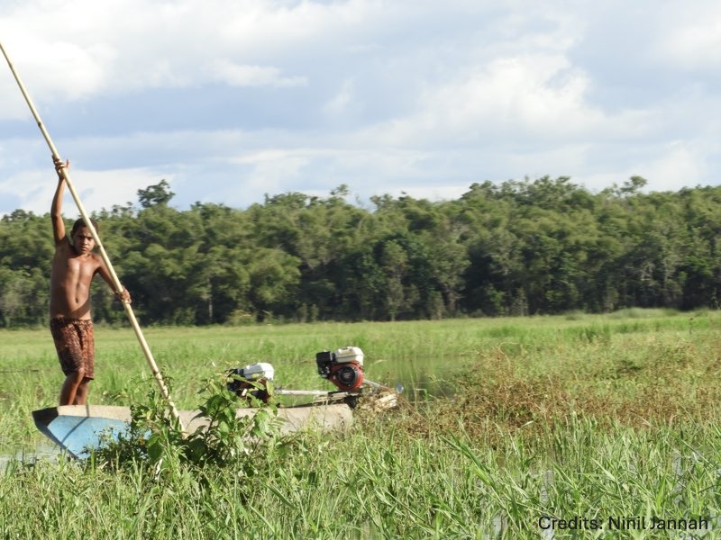 Three Million Hectares and Counting: The Impact and Applicability of the ALS 