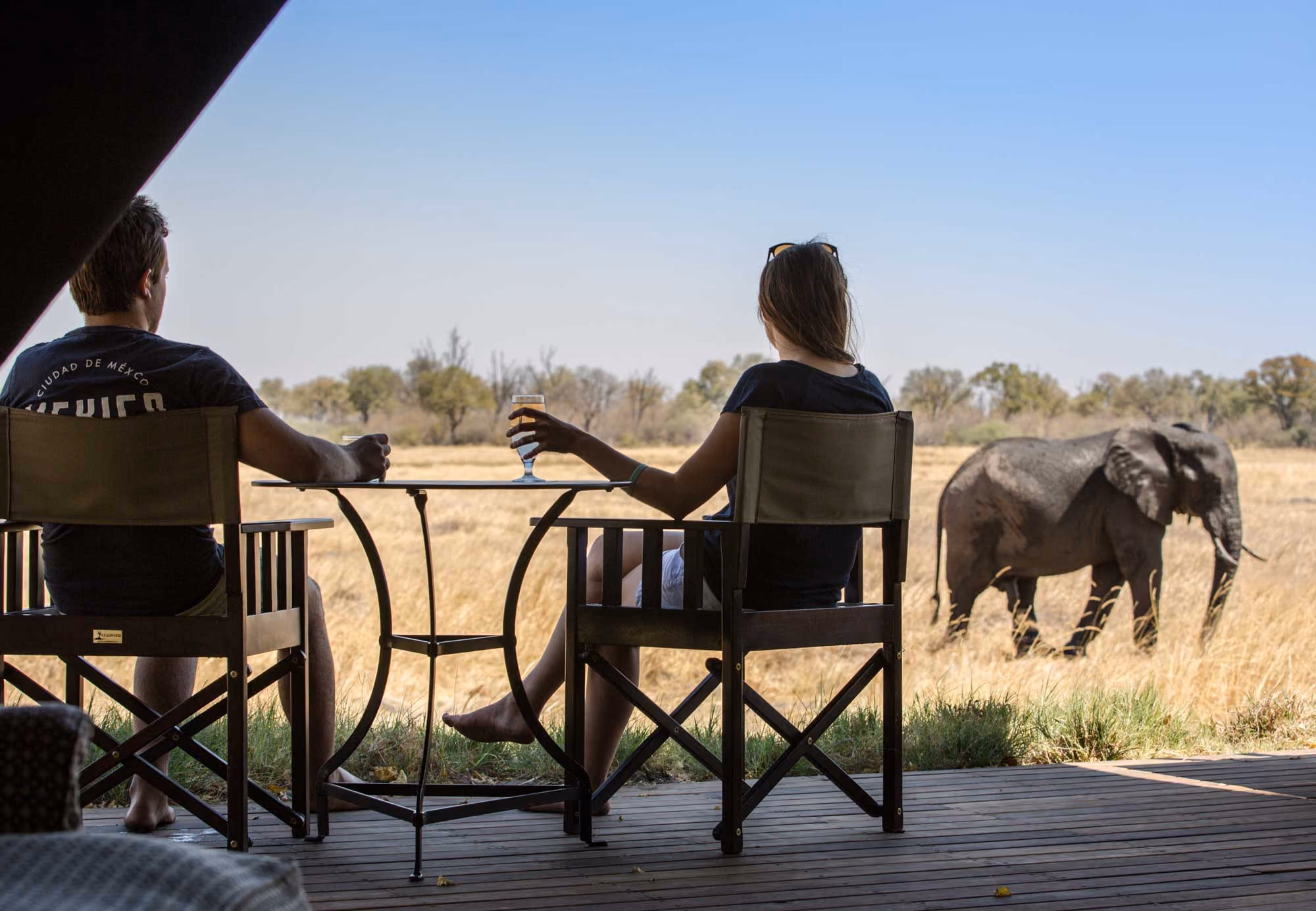 Couple sitting on chairs at a table watching an elephant walk by in dry grassland.