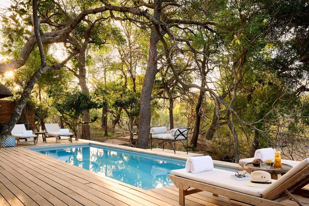 Outdoor pool with lounge chairs and trees surrounding a wooden deck in natural sunlight.