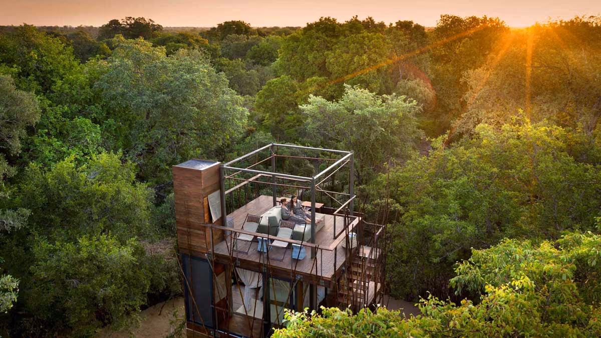 Two people sitting on chairs atop a wooden tower surrounded by dense green forest at sunset.