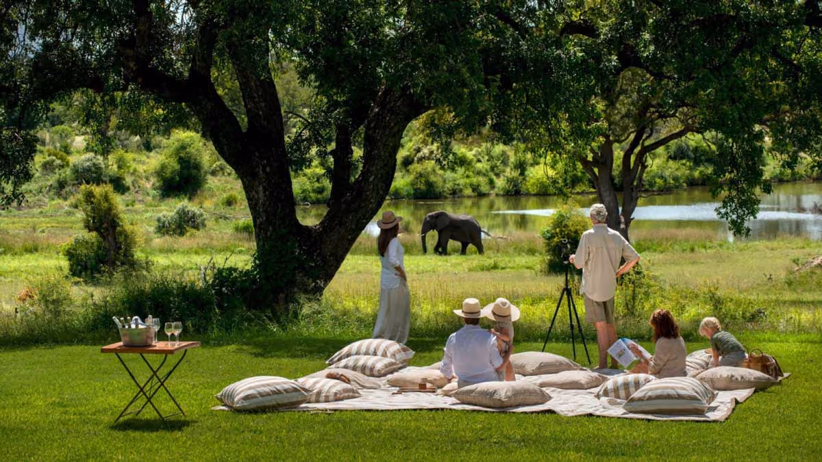 Group of people watching an elephant near a river from a picnic setup under large trees.