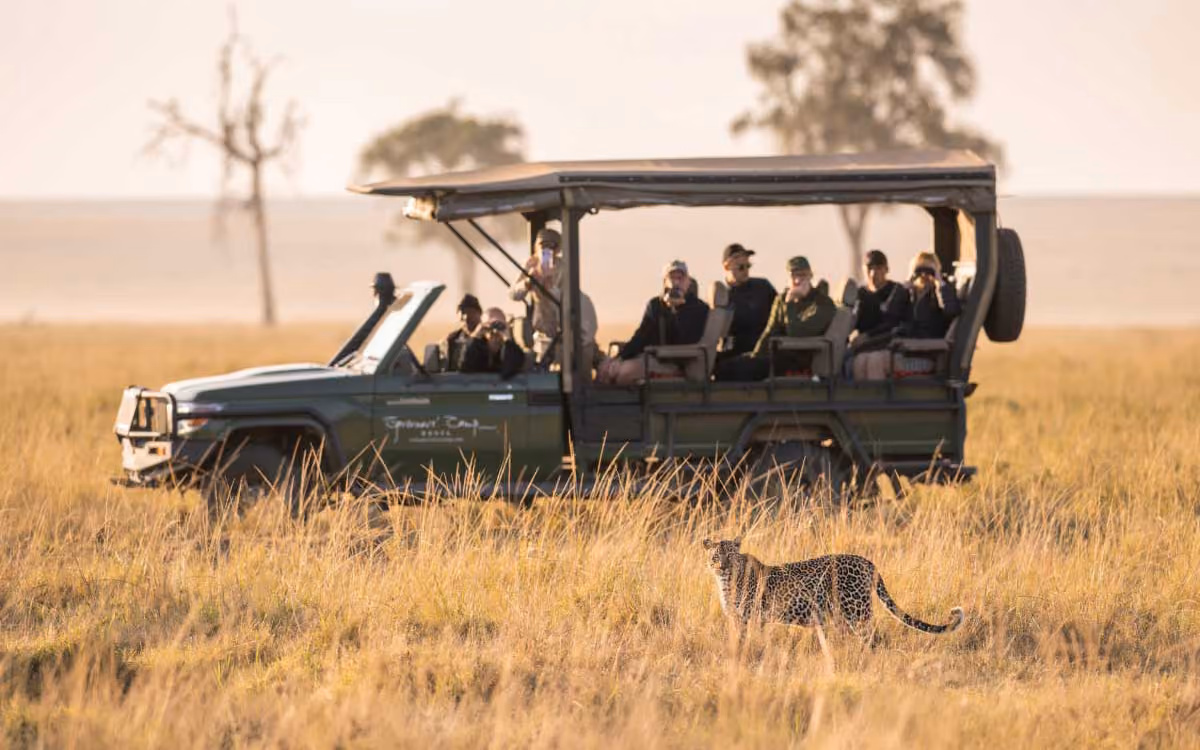 Safari jeep with tourists observing a leopard standing in tall grass in a savanna landscape.