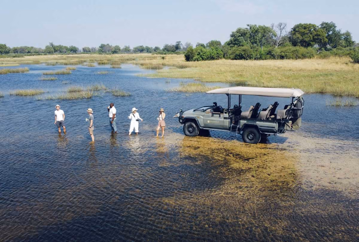 Five people standing in shallow water near an open safari vehicle in a grassy wetland area.