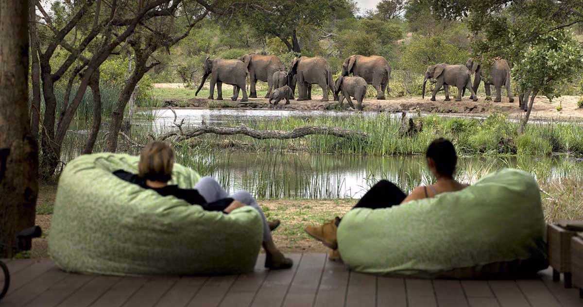 Two people sitting on green beanbags watching a herd of elephants across a water body in a forest.