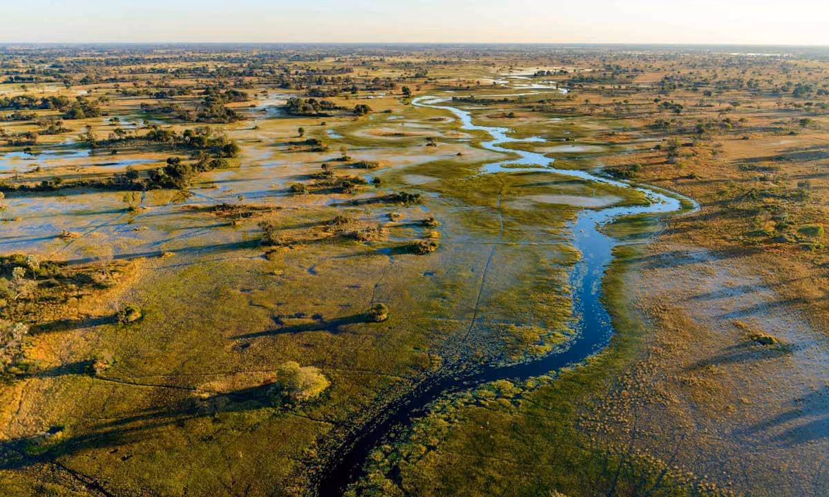 Aerial view of a winding river flowing through a vast green and brown wetland landscape at sunset.