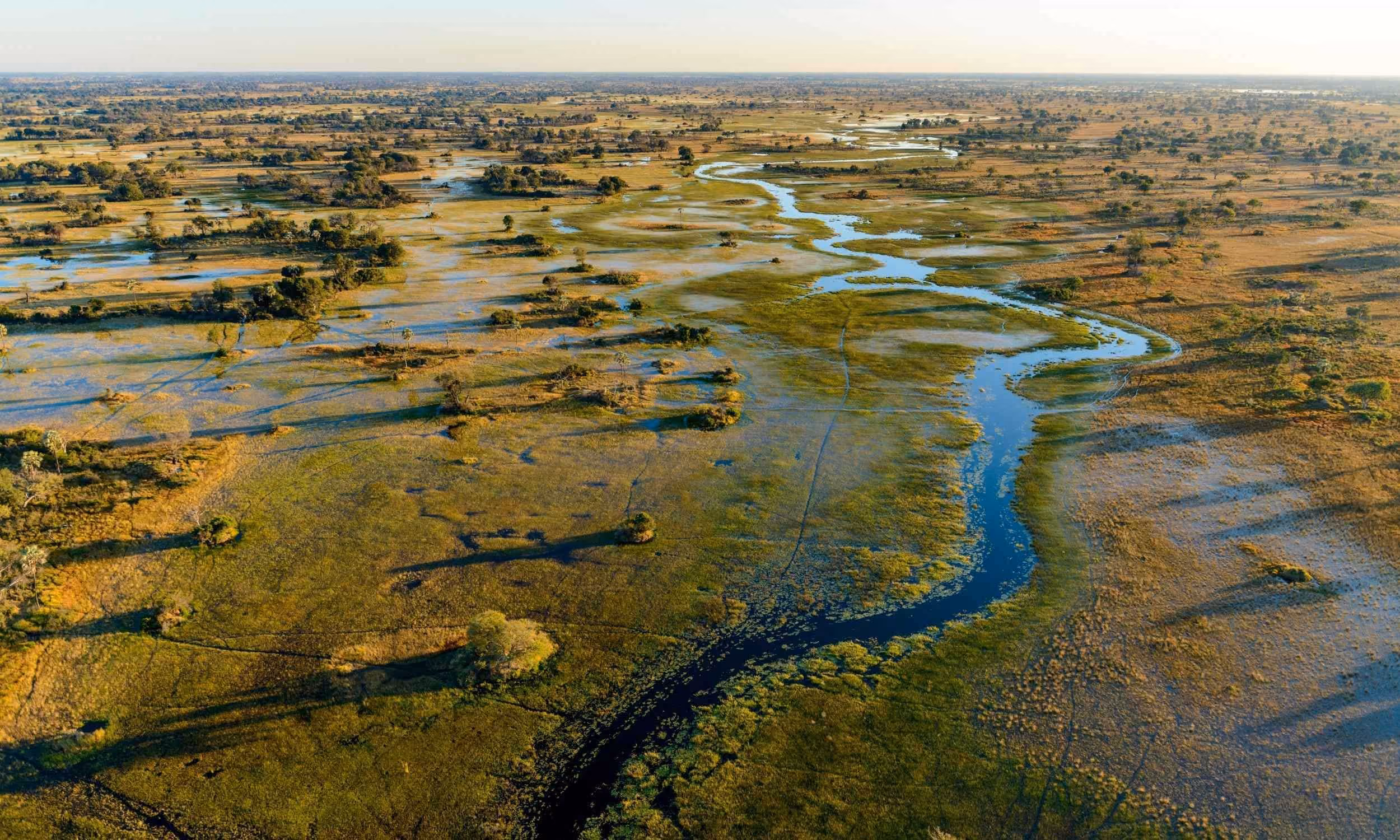 Aerial view of a winding river flowing through a floodplain with scattered trees and green vegetation.