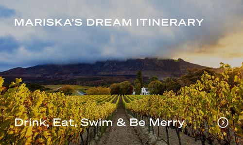 Vineyard rows at sunset with mountains in the background under cloudy sky.