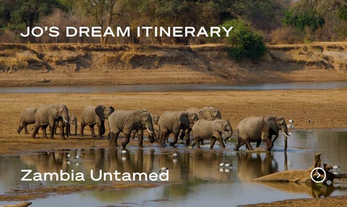 Herd of elephants crossing a river in a dry, wooded landscape with text 'Jo’s Dream Itinerary' and 'Zambia Untamed'.