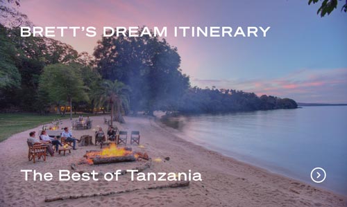 Group seated around a campfire on a Tanzania beach at sunset with calm ocean and trees nearby.