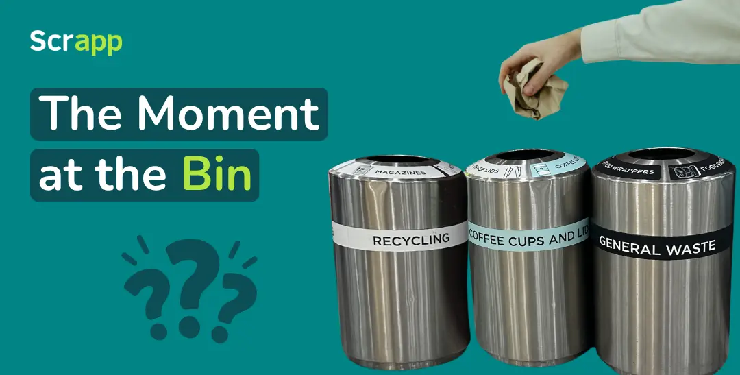 Moment at the bin