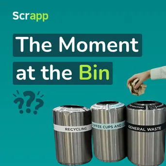 Moment at the bin
