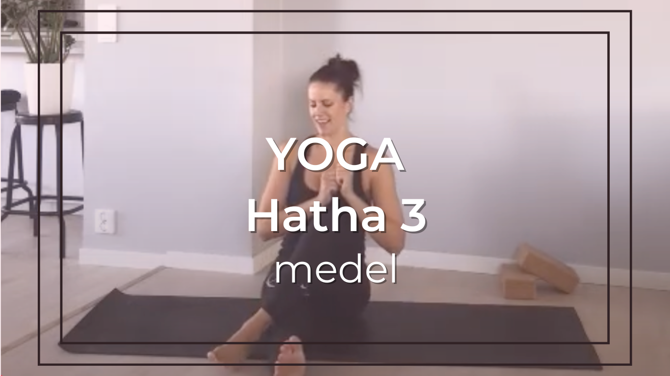 HathA 3 - 41 min
