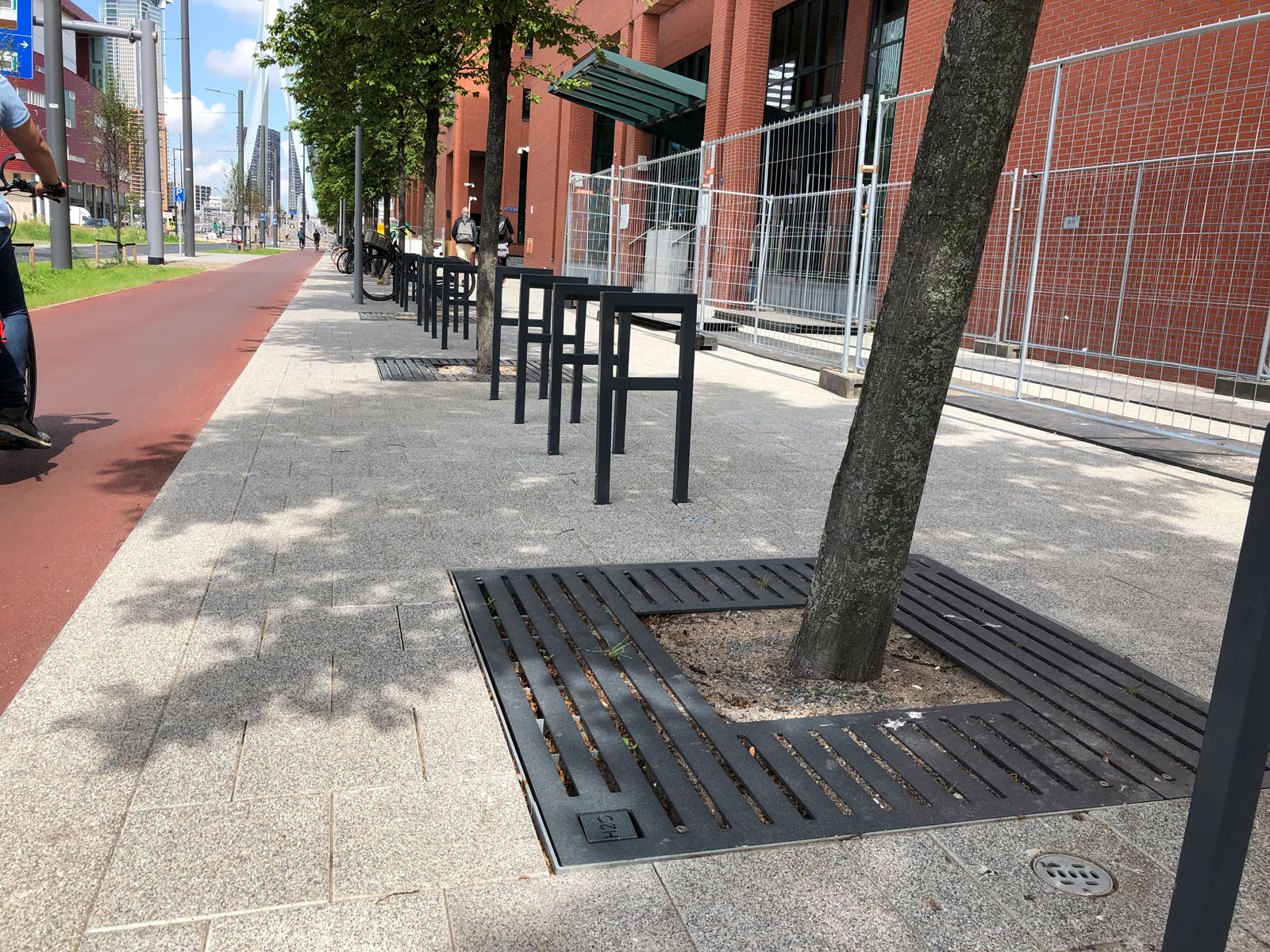 Straat met bomenrij en voetgangersgebied