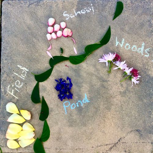 A map made with leaves and petals and chalk