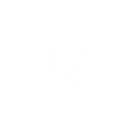 Celffixx has over 20 Years Experience in repairing phones