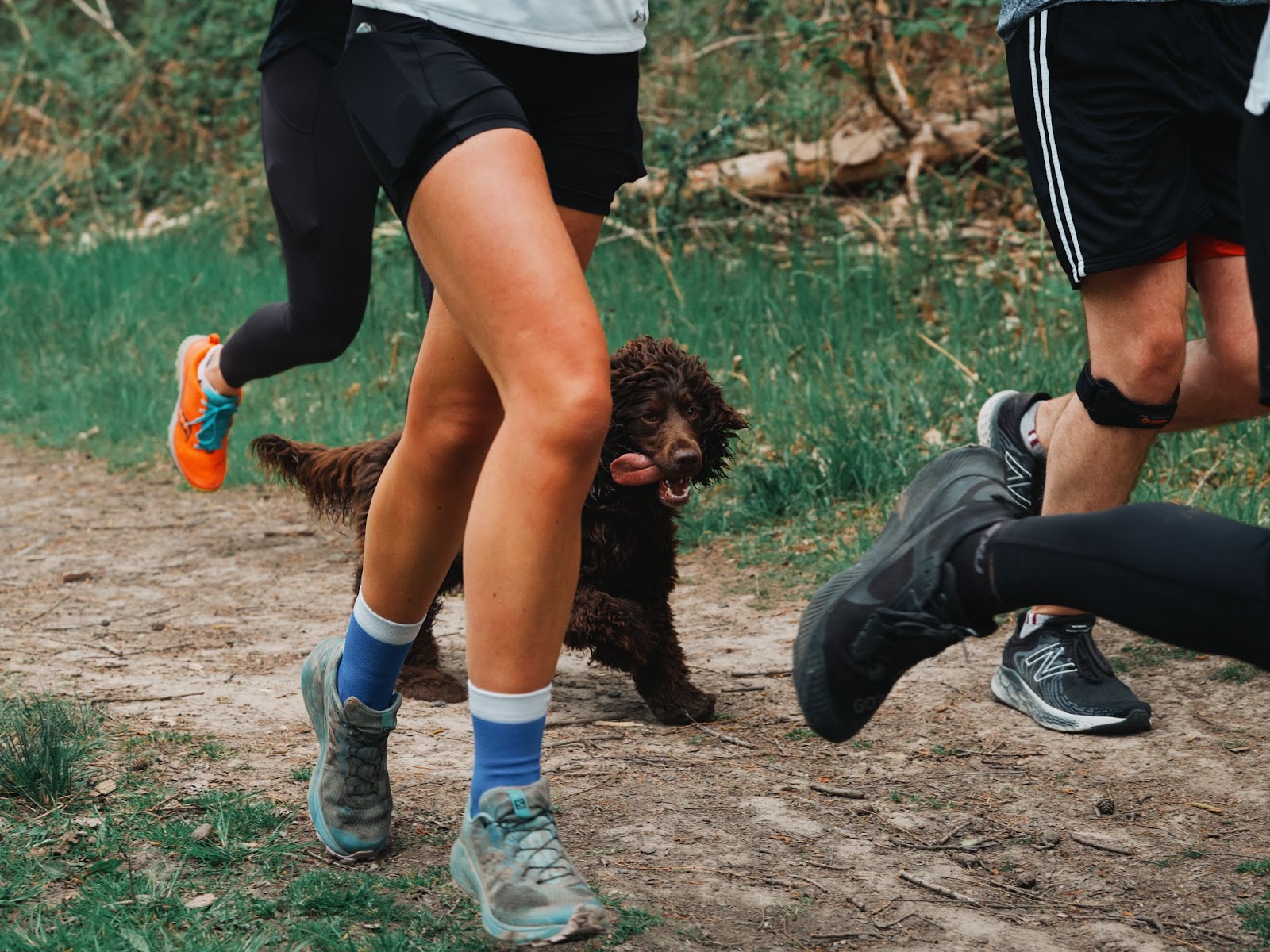 Pessoas correndo uma maratona com um close de um cachorro.