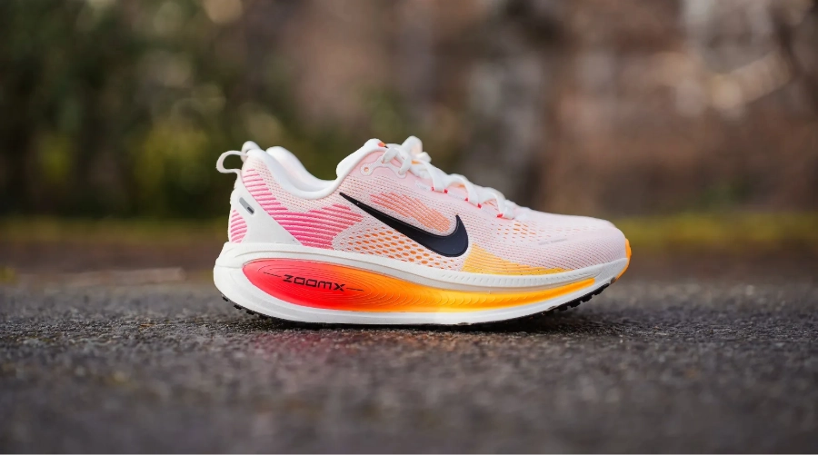 __wf_voorbehouden_overerven