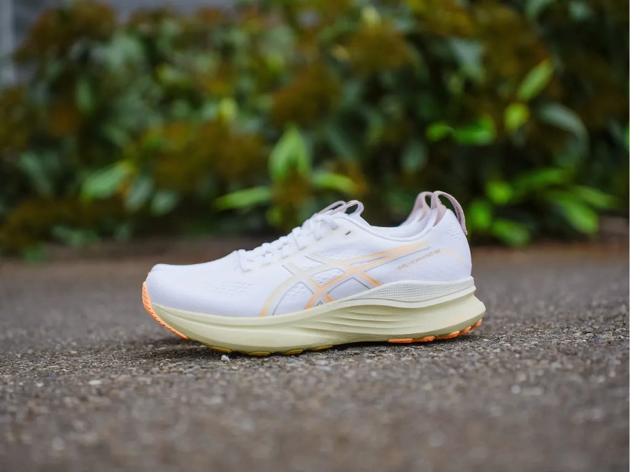 __wf_voorbehouden_overerven